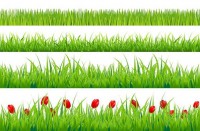 /album/fotogalerie-kuchenruckwande/grasermotive-jpg/